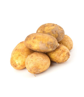 Sadbové brambory