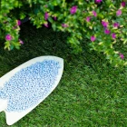 Hnojiva na trávníky