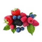 Sazenice ovoce/zelenina