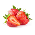 Jahodník - sazenice