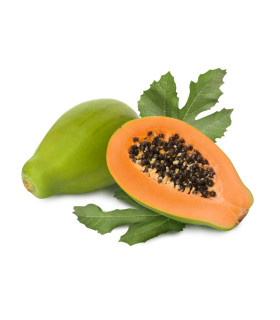 Papaya - plod