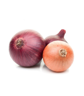 BIO Cibule