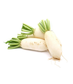 BIO Ředkev