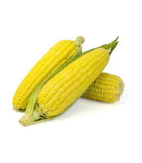 BIO Kukuřice