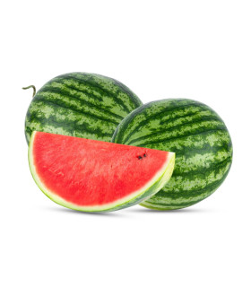 BIO Meloun
