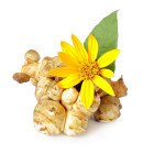 Topinambur - sazenice