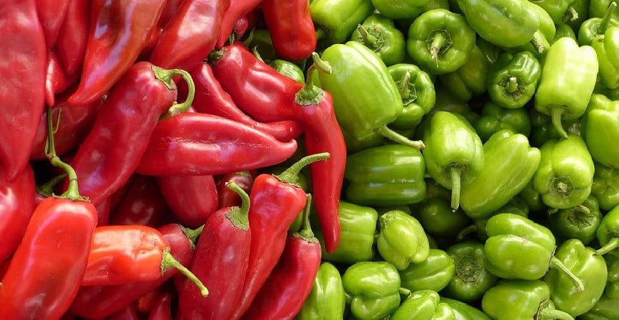 Proč pěstovat papriky?