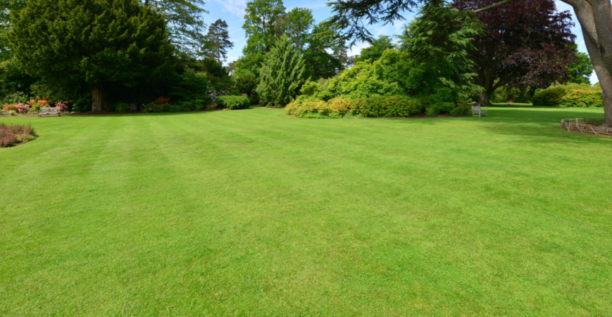 Oživte po zimě mírně unavený trávník 