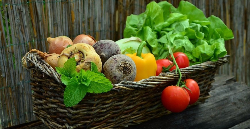 Okrasný záhon vytvoříte i ze zeleniny, navíc bude užitečný