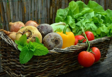 Okrasný záhon vytvoříte i ze zeleniny, navíc bude užitečný