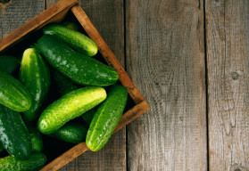 Okurky jsou neodmyslitelnou letní zeleninou s léčivými účinky.