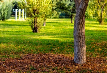 Zahradníci mají v listopadu stále hodně práce