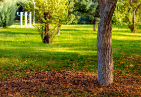 Zahradníci mají v listopadu stále hodně práce