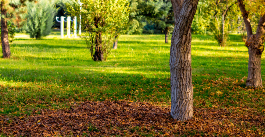 Před zimním odpočinkem si pěkně protáhneme tělo prací na zahradě …