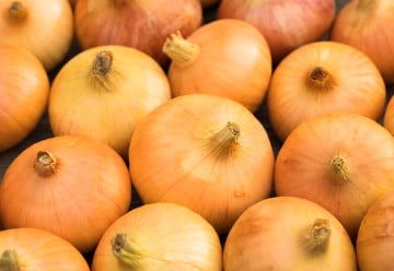 Zkuste pěstovat cibuli ze semen, sklizeň bude kvalitnější