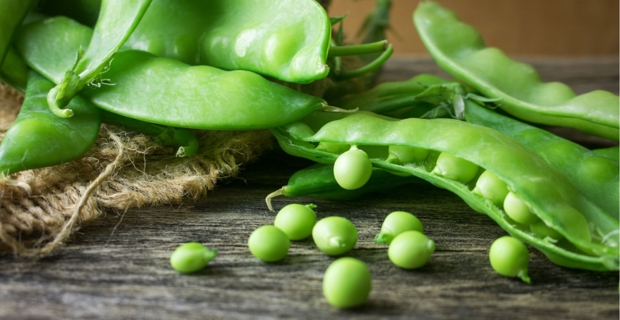 Hrách dřeňový nebo cukrový? 