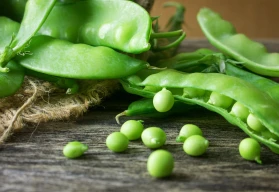 Hrách dřeňový nebo cukrový? 