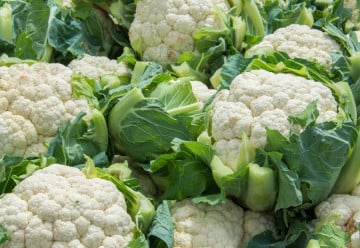 Květák – pěstování a využití