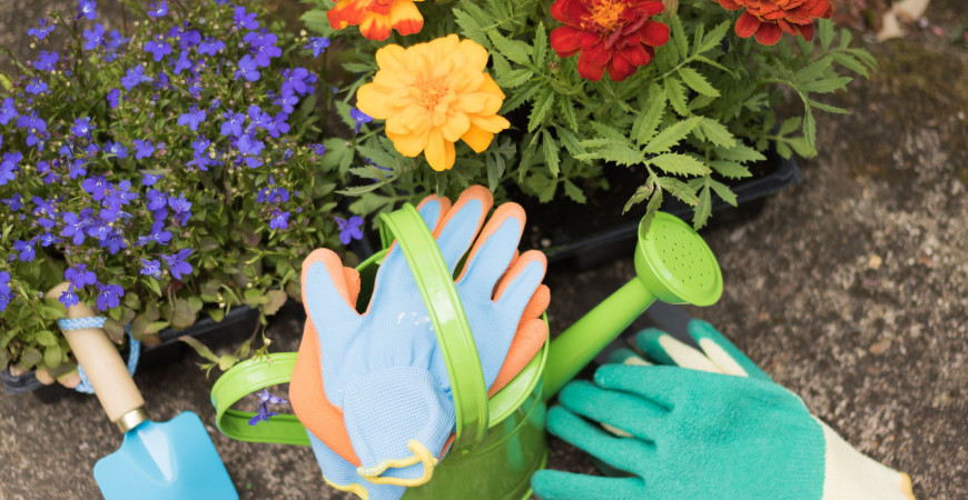 Červnové práce na zahrádce