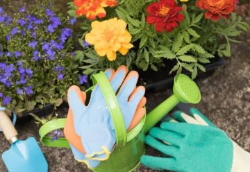 Červnové práce na zahrádce