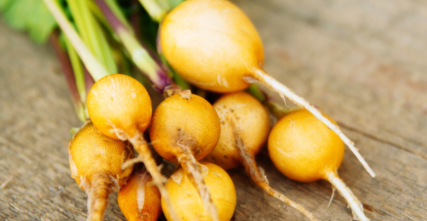 Ředkve, výtečná zelenina, kterou byste neměli opomíjet