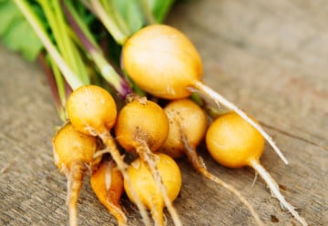 Ředkve, výtečná zelenina, kterou byste neměli opomíjet