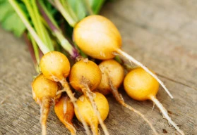 Ředkve, výtečná zelenina, kterou byste neměli opomíjet