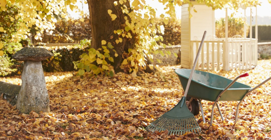 Co dělat v říjnu na zahrádce?