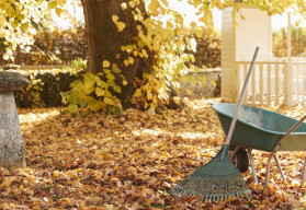 Co dělat v říjnu na zahrádce?