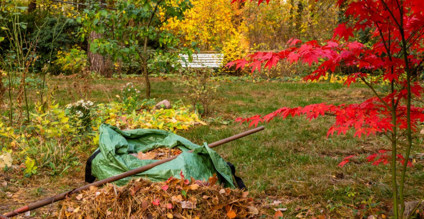 Je tu období padání listí, v listopadu je na zahradě pořád spousta práce 