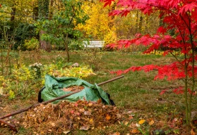 Je tu období padání listí, v listopadu je na zahradě pořád spousta práce 