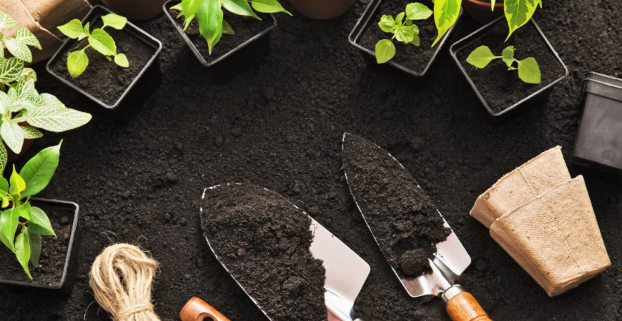 Ideální období na kontrolu zahradního náčiní, revizi květináčů i semen je právě teď