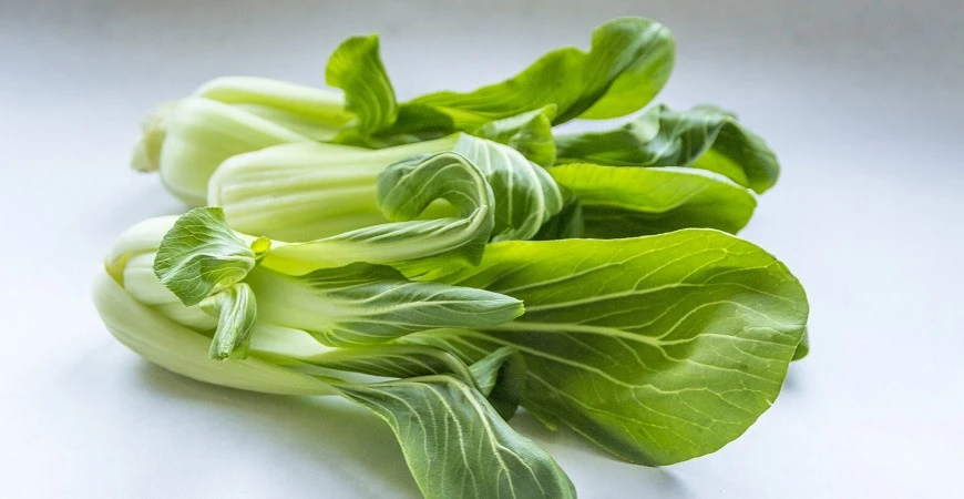 Asijské saláty jsou pěstitelsky nenáročné