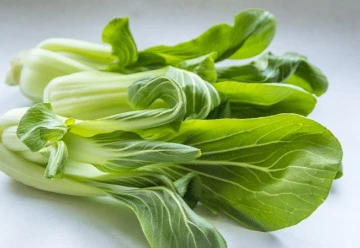 Asijské saláty jsou pěstitelsky nenáročné