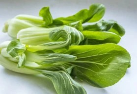 Asijské saláty jsou pěstitelsky nenáročné