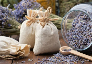 Červenec je časem levandule, využijte ji v kuchyni i v domácí lékárně