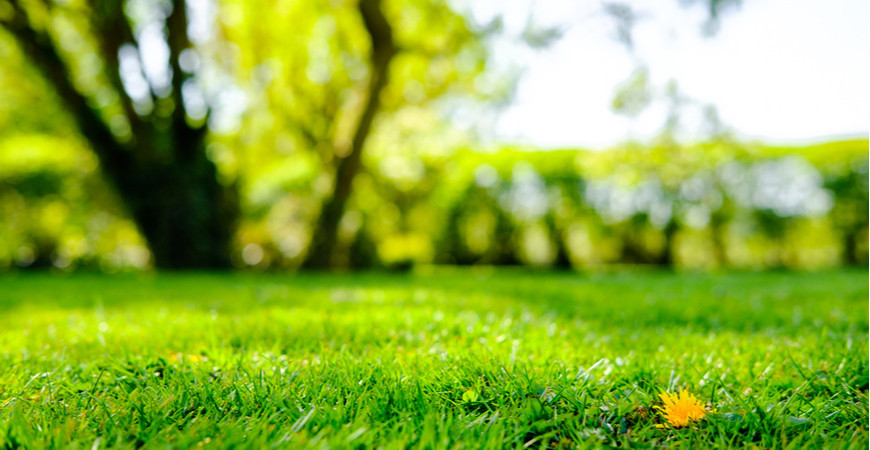 Podzimní péče o trávník 