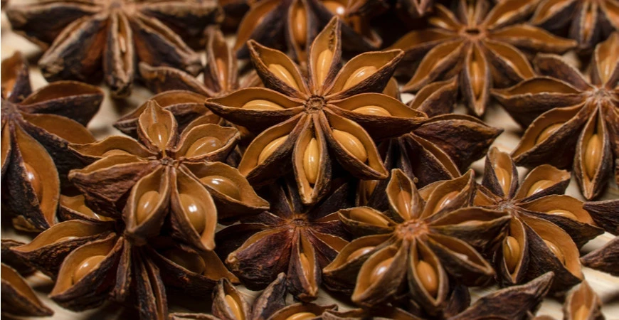 Pěstování bylinek – anýz