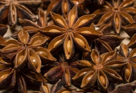 Pěstování bylinek – anýz