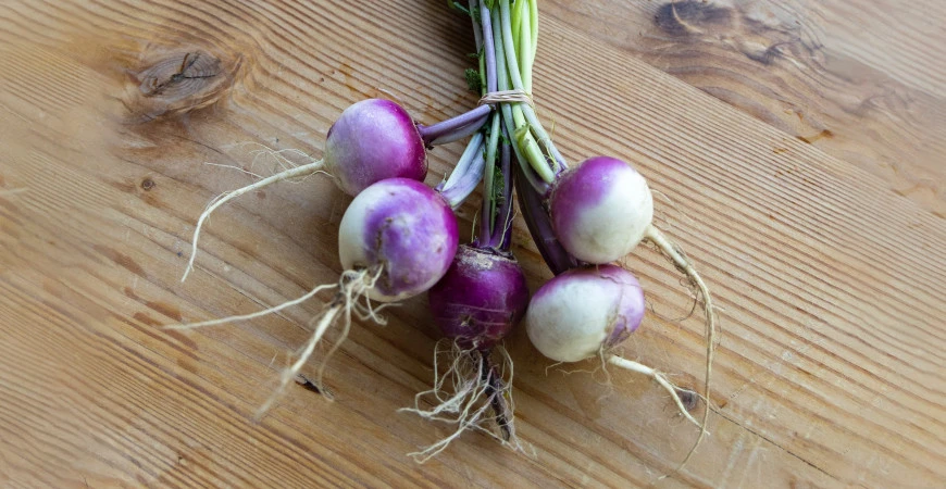 Vodnice – nenáročná podzimní zelenina