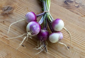 Vodnice – nenáročná podzimní zelenina