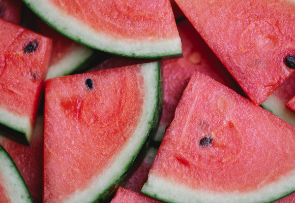 Meloun – druhy a pěstování