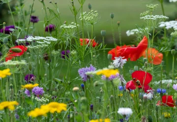 Zahradníkův kalendář – květen