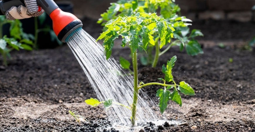 Voda v zahradnictví