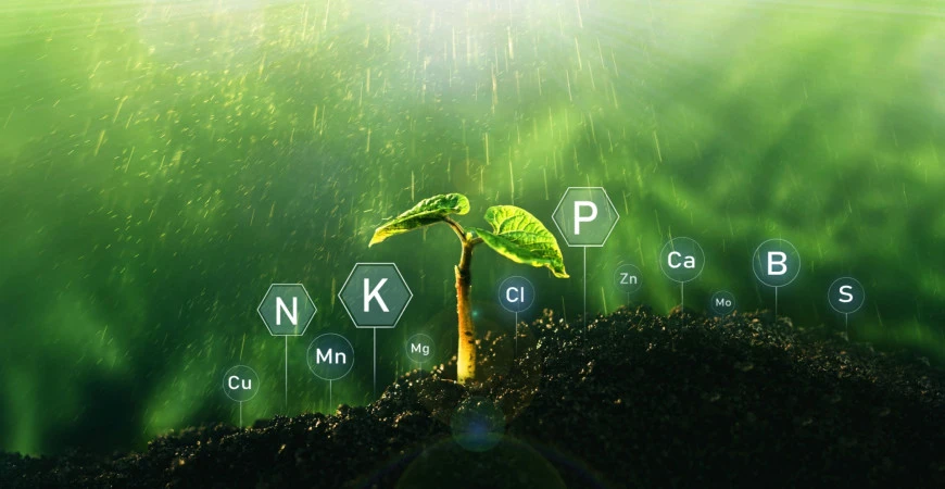 Výživa zahradních rostlin