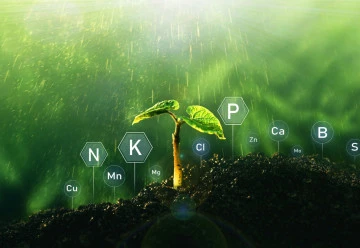 Výživa zahradních rostlin