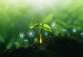 Výživa zahradních rostlin