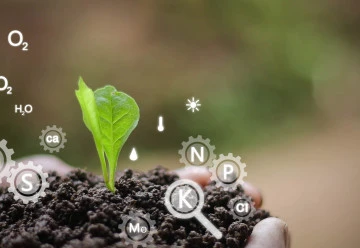 Příjem živin rostlinami