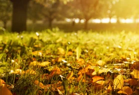 Ani v září se na zahradě nemusíte nudit