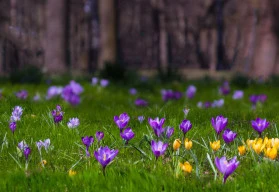 Zahradníkův kalendář – březen